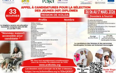 APPEL A CANDIDATURES POUR LA SELECTION DES JEUNES (H/F) DIPLOMES