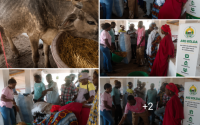 FORMATION DES GPF DE BADION